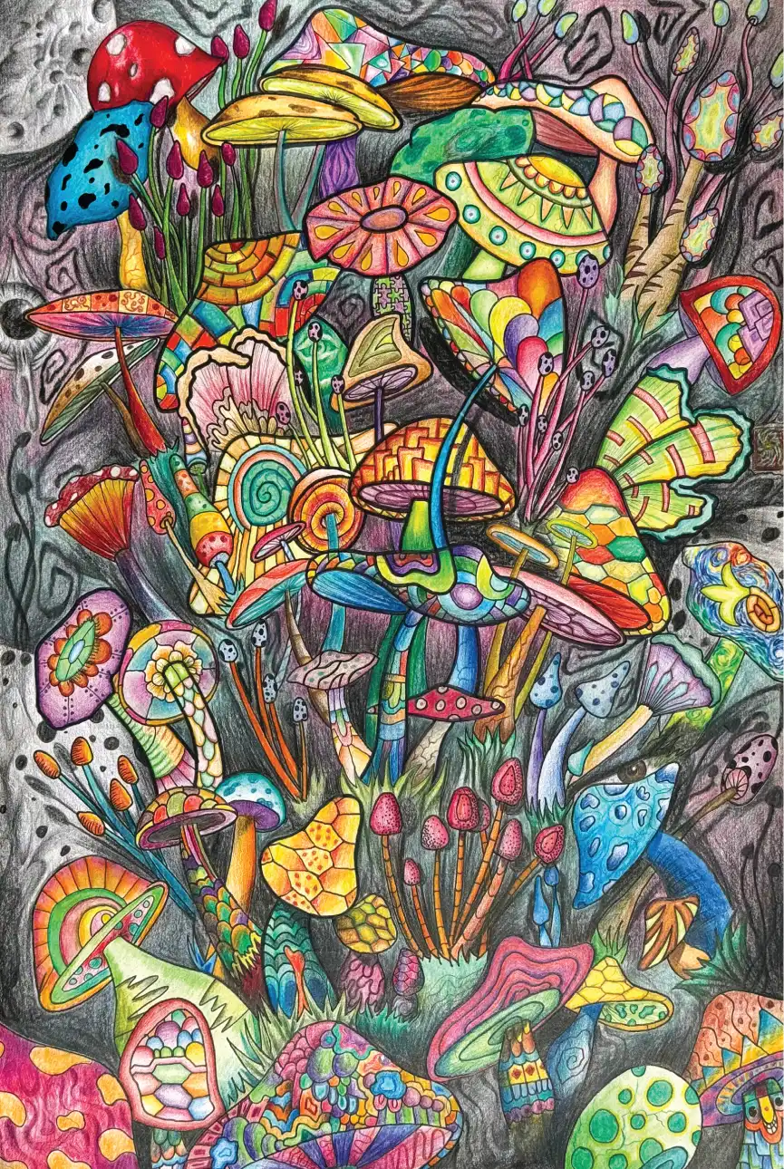 Mushroom Kingdom